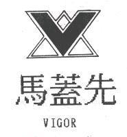 馬蓋先 VIGOR 及圖