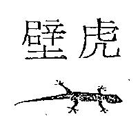 壁虎及圖