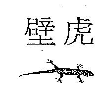 壁虎及圖