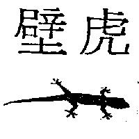 壁虎及圖