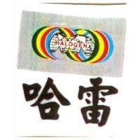哈雷及圖 HALOGEN