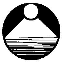 東王星公司標章