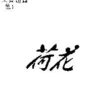 荷花