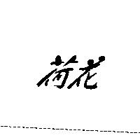 荷花