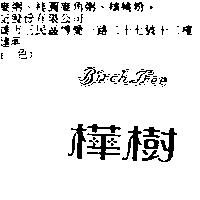 樺樹 BIRCH TREE