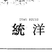 統洋 TOWN YOUNG
