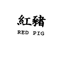 紅豬 RED PIG