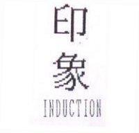 印象 INDUCTION