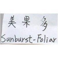 美果多 Sunburst-Foliar