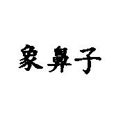 象鼻子