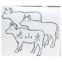 老山東及圖