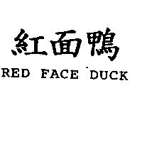 紅面鴨 RED FACE DUCK