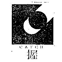握 CATCH 及圖