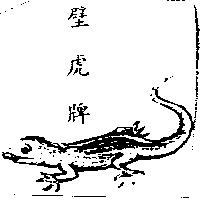 壁虎牌及圖