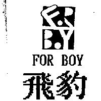 飛豹及圖 FOR BOY