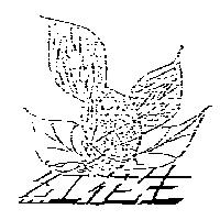 紅花生及圖