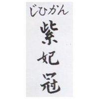 紫妃冠じひガん