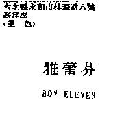 雅蕾芬 BOY ELEVEN