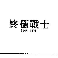 終極戰士 TOP GUN