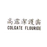 高露潔護齒 COLGATE FLOURIDE