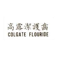 高露潔護齒 COLGATE FLOURIDE