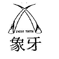 象牙及圖 IVORY TOOTH