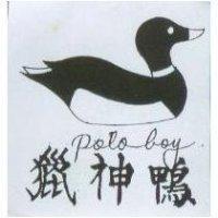獵神鴨 poloboy 及圖