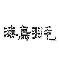 海鳥羽毛