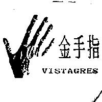 金手指 VISTAGRES 及圖