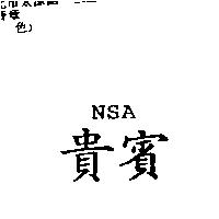 NSA 貴賓