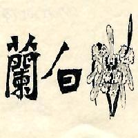 白蘭