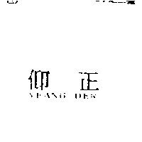 仰正 YEANG DER