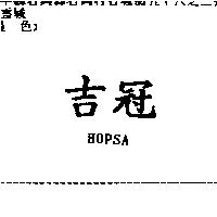 吉冠 HOPSA