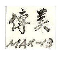 傳美 MAX-13