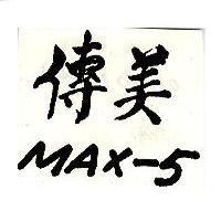 傳美 MAX-5