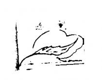吉吉熊及圖 DDB