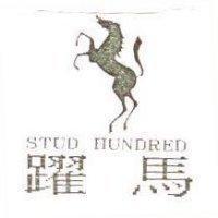 躍馬 STUD HUNDRED 及圖