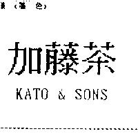 加藤茶 KATO & SON'S