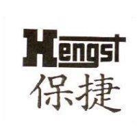 保捷 Hengst 設計圖