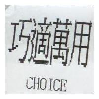巧適萬用 CHOICE