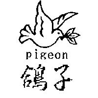 鴿子及圖 PIGEON