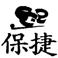 保捷 ECR 及圖