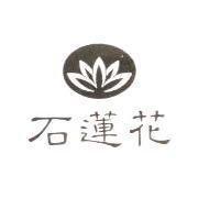 石蓮花及圖