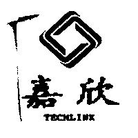 嘉欣 TECHLINK 及圖