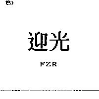 迎光 FZR