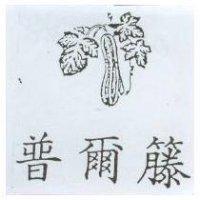 普爾藤及圖