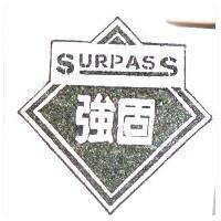 強固及圖 SURPASS