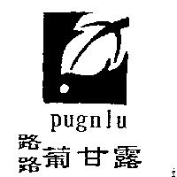 路路葡甘露 PUGNLU 及圖