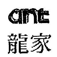 龍家及 ANT 設計圖