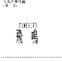 飛鳴 TIMEBIRD